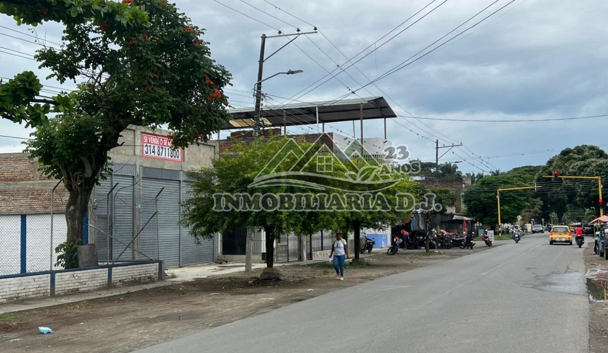 WhatsApp Image 2023-04-15 at 9.10.50 AM