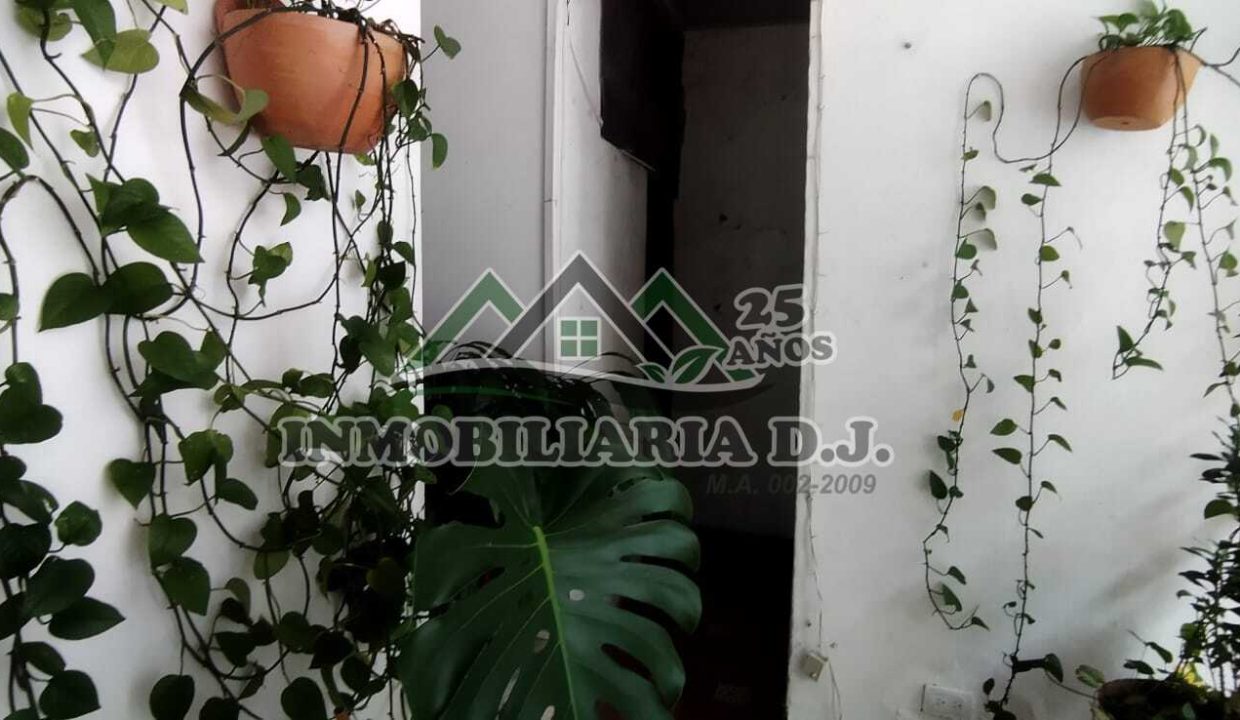 WhatsApp Image 2025-05-17 at 11.47.07 AM (3)