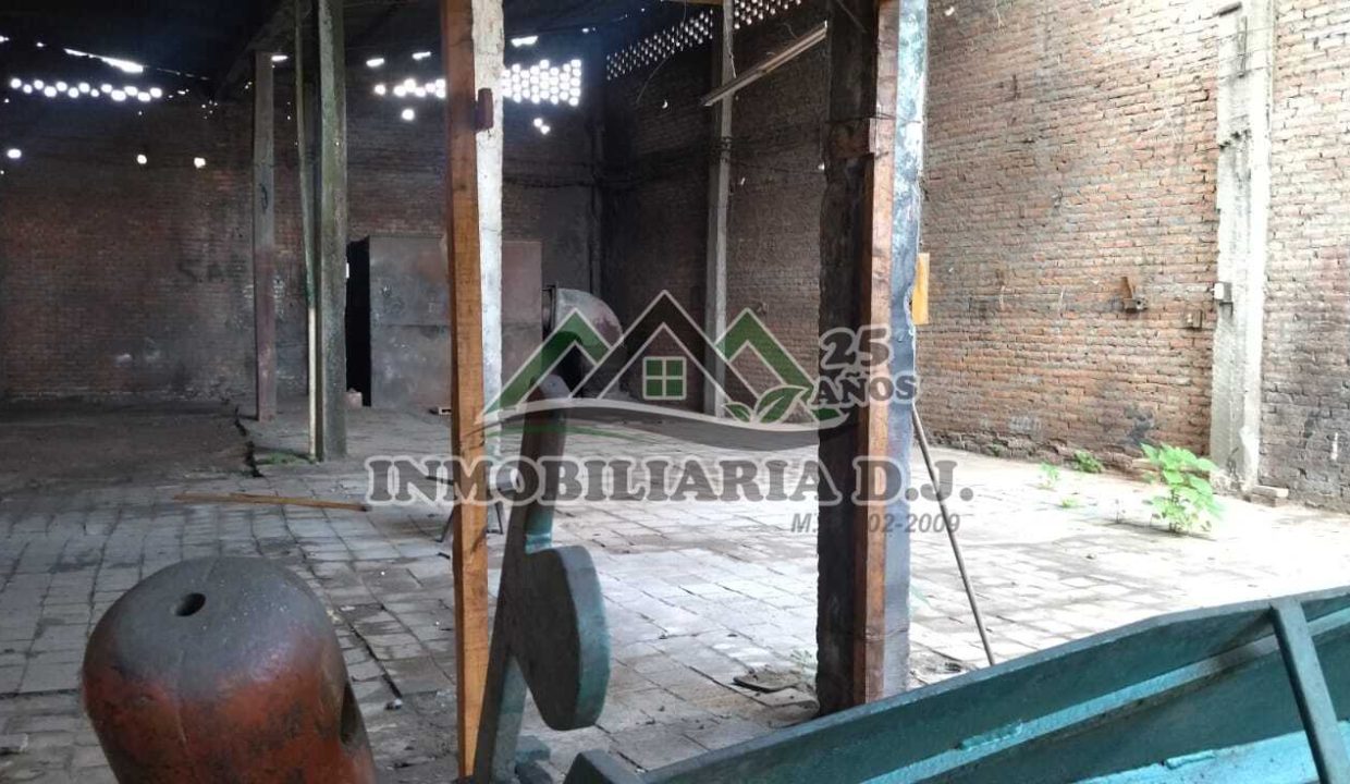 WhatsApp Image 2025-06-24 at 9.34.37 AM (1)