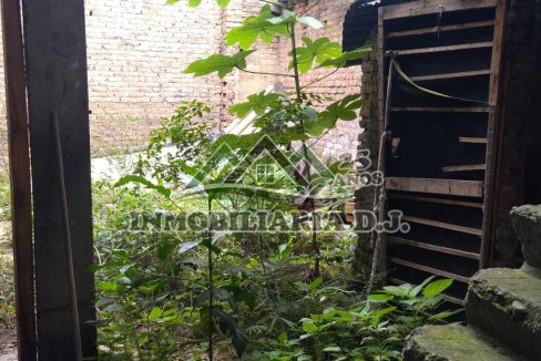 WhatsApp Image 2025-06-24 at 9.34.37 AM (2)