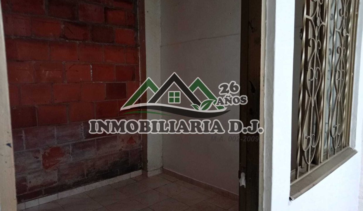 WhatsApp Image 2026-02-11 at 4.58.50 PM