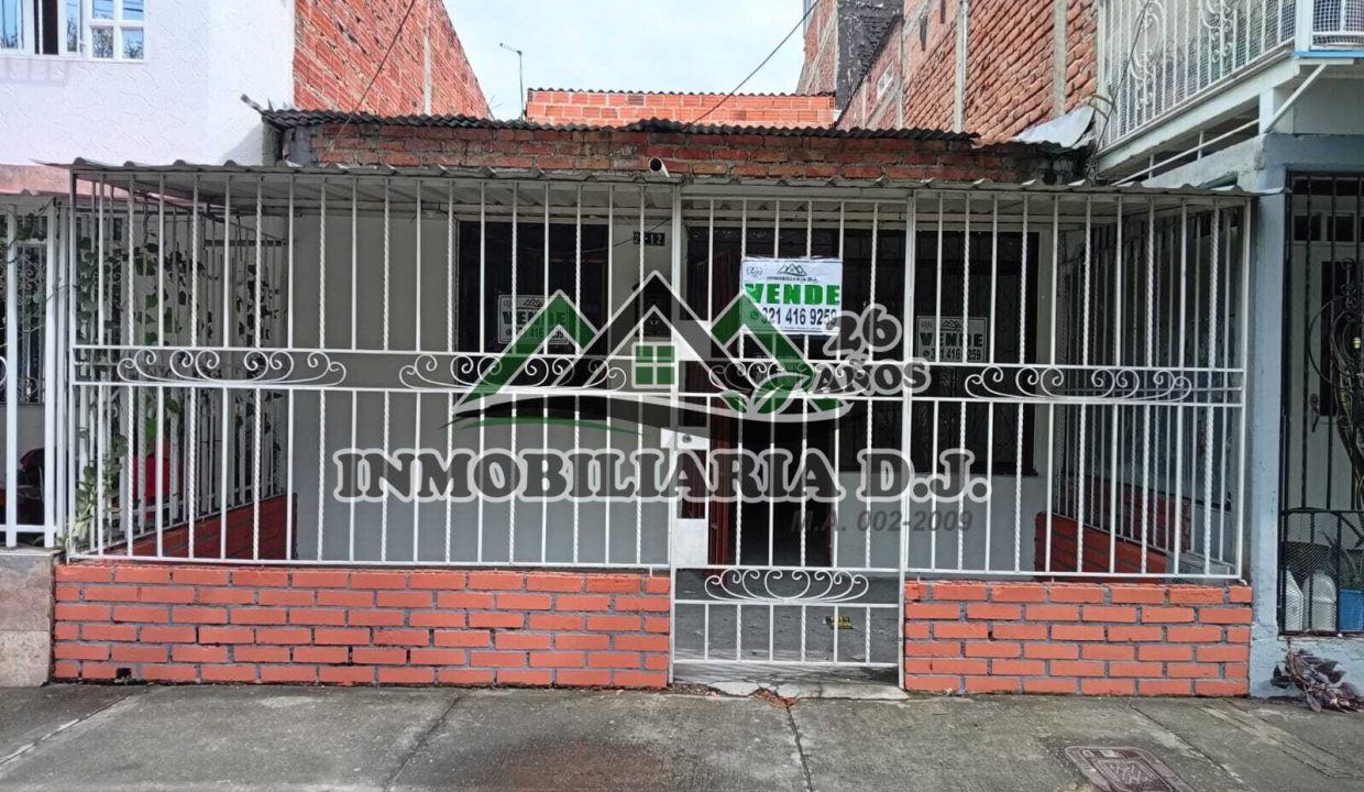 WhatsApp Image 2026-02-11 at 4.59.01 PM